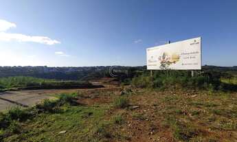 Imagem 4: Terrenos - São Luiz