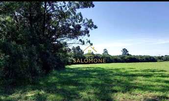 Imagem 2: Salomone vende área com 4 hectares dentro de condomínio perto da RS040