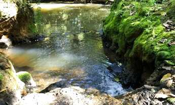 Imagem 6: Chácara no Pedancino