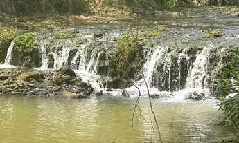 Imagem 5: SÍTIO À VENDA - PRÓXIMO A FLOR DE MINAS GURINHATA - Água em Abundância - R$ 2.000.000,00
