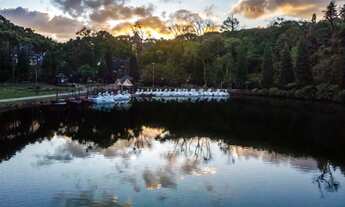 Imagem 6: Terreno - Bairro Piratini