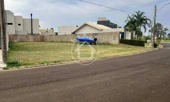 Imagem 6: TERRENO NO DAMAH II