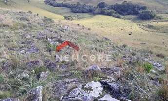 Imagem 6: Sítio em Interior - Lageado Grande - São Francisco de Paula/RS