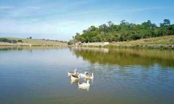 Imagem 4: Chácara a venda ou locação fixa em Condomínio fechado Hortolândia sp