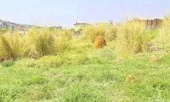 Imagem 6: TERRENO - JARDIM JUREMA - SP