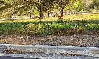 Imagem 4: Excelente lote em Jaboticatubas