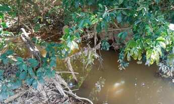 Imagem 5: Sítio a venda Chácara com venda por R$350.000