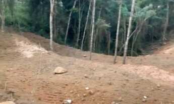 Imagem 3: Chácara em Mandirituba