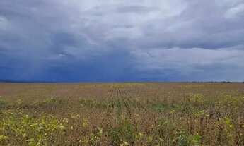 Imagem 4: Fazenda de 654 hectares