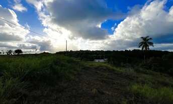 Imagem 7: Lote 288m² - Cond. Colinas do Sonho Verde II - Paripueira