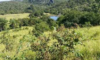 Imagem 6: Fazenda com 80 Alqueires em Niquelândia/GO