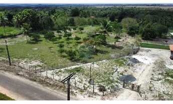 Imagem 5: Sítio dos Sonhos: 20 Tarefas á 15 min do centro, Imperdível!