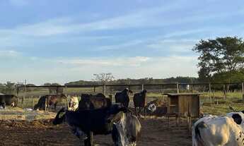 Imagem: Ótima chácara em Itaberaí