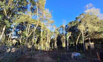 Imagem 5: Chacara 1540 metros ! Todo murado