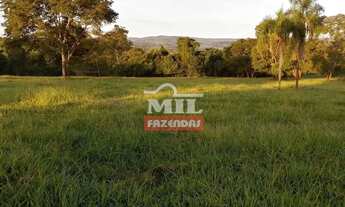 Imagem: Chácara 3,59 alqueires (17,38 hectares)