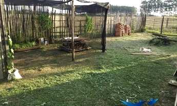 Imagem 3: Velleda oferece magnífico sítio em condomínio fechado em Águas Claras, com frutíferas, bar