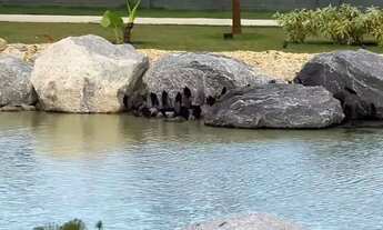 Imagem 6: Terreno Cidade Jardim Resort à Venda 200 m², Cidade Jardim Resort , Campos dos Goytacazes