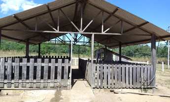 Imagem 3: Sitio com 15 hectares com várias estruturas, 4 km da cidade de Nova Mutum MT