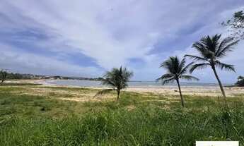 Imagem 3: Lote à venda em rua pública, MALHADO, Ilhéus, BA