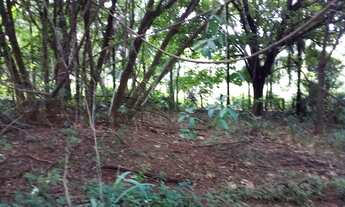 Imagem 3: TERRENO - Terreno Comercial