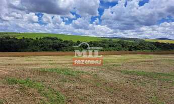 Imagem 4: Fazenda 33,5 alqueires (161 hectares) Ipameri - GO