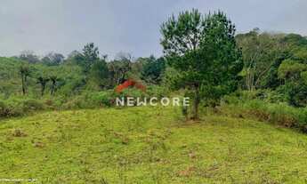 Imagem 4: Lote em Estrada Boa Esperança - Caconde - São Francisco de Paula/RS