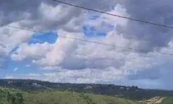 Imagem 5: Refúgio Exclusivo no Jardim Botânico