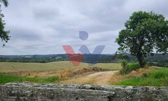Imagem 4: Fazenda com 70 alqueires, casa, rio e lago a 8 km da BR-476 Aberta a negociação