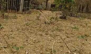 Imagem 4: Vendo um lote em Brazlândia DF