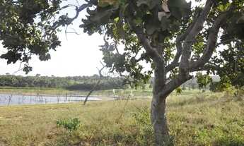 Imagem 7: IMPERDIVELArea em Ascenção Turística -Lago Manso