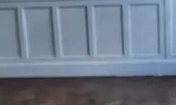 Imagem 7: CASA ASSOBRADADA - SANTA CECÍLIA - SP