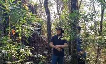 Imagem 2: Sítio 1200mt. Próximo a cachoeira da fumaça