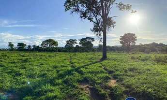 Imagem 7: Fazenda à Venda em Israelândia-GO com 90 Alqueires Dupla Aptidão