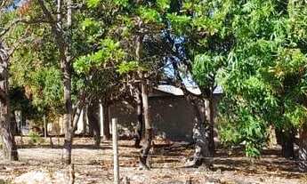 Imagem: Vende-se lote