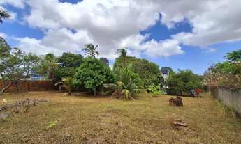 Imagem 7: Terreno em Avenida