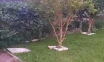 Imagem 7: Sobrado 3 dormitórios à venda Vila Nova Porto Alegre/RS