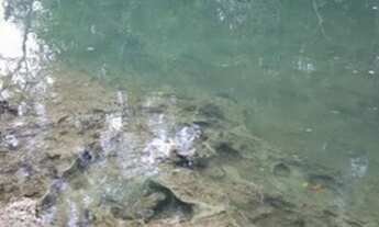 Imagem 6: Chacara Bonito MS