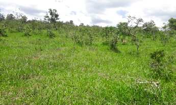 Imagem 5: Terreno 28 Hectares em Passa Tempo Rico em Agua