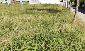 Imagem 3: TERRENO - GAMBOA