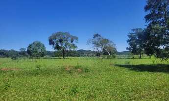 Imagem 4: Vendo Fazenda de 43 alqueires no município de Jaraguá