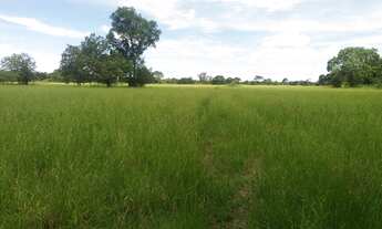 Imagem 5: Fazenda para Venda em Nova Crixás
