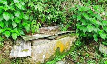Imagem 3: Excelente área de terra com 4 hectares localizada no interior de Monte Belo do Sul / RS