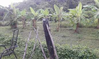 Imagem 2: Sítio na região da serragem sentido Cáceres