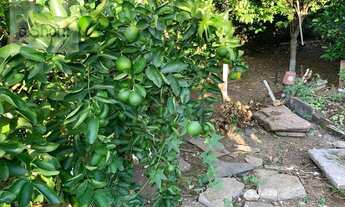 Imagem 7: Casa com 2 dormitórios à venda - Niterói - Canoas/RS