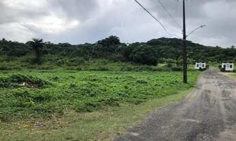 Imagem 6: Lotes a venda 450 m2 cada um, área total 900 m2 bairro Várzea - Recife - PE