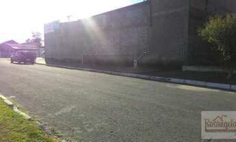 Imagem 4: Terreno, Primavera, Esteio