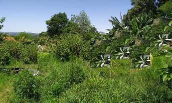 Imagem 3: Terreno com 3 Dormitorio(s) localizado(a) no bairro Campestre em São Leopoldo / RIO GRAND