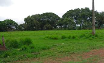 Imagem 3: Fazenda Extra - Cocalinho (MT