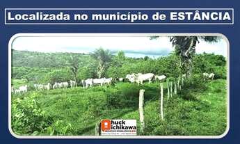 Imagem 4: SÍTIO de 55 TAREFAS - ESTÂNCIA