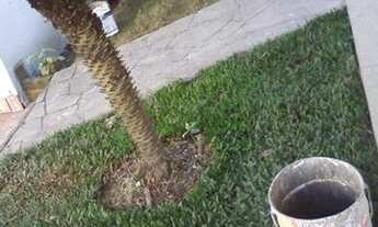 Imagem 7: Casa de 192 m² em Frente ao Novo Zaffari